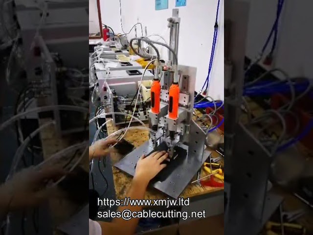 Z Axis Up down Moving Oem Auto Feeding Screwdriver Device Automatic Screw Locking Machine