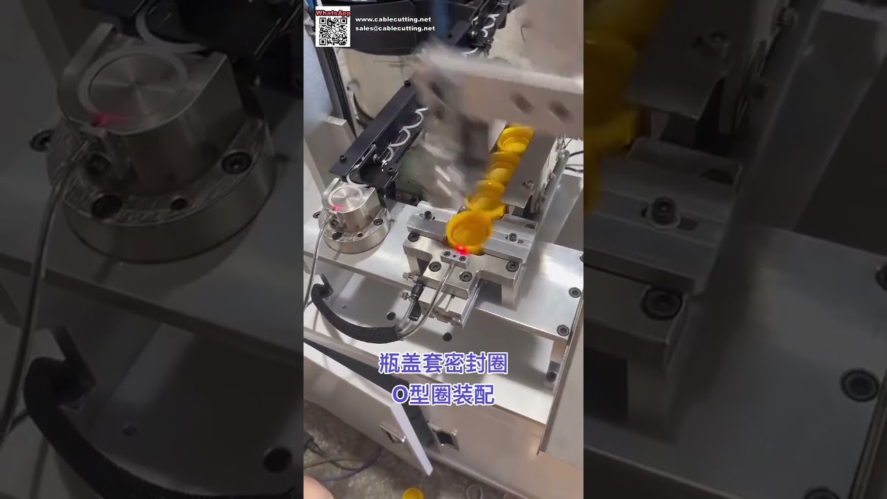 Export Quality Automatic O Ring Assembly Machine for Silicone Sealing Components