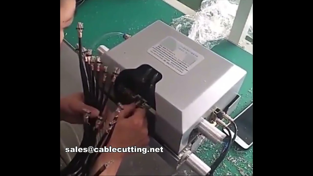 Specialized Multi-Core Wire Double Parallel Stripping Machine WPM-012